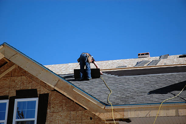 Best Roof Leak Repair  in Colchester, IL