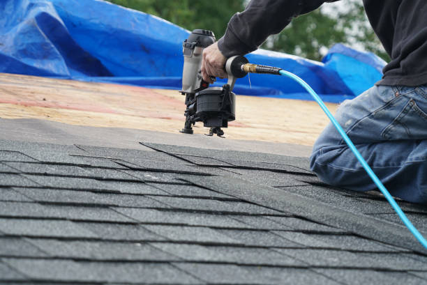 Best New Roof Installation  in Colchester, IL