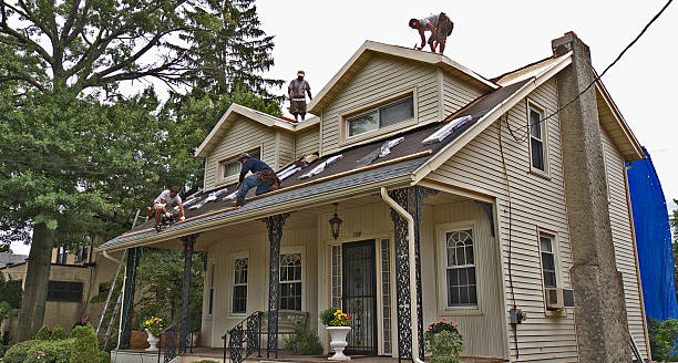 Best Gutter Installation and Roofing  in Colchester, IL