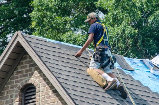 Best Roof Gutter Cleaning  in Colchester, IL